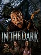 In The Dark In The Dark